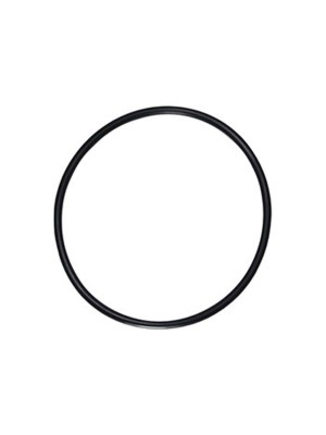 GUARNICAO DA FLANGE TRAIBLAZER