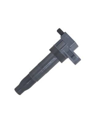 Bobina Ignição Hyundai Santa Fé 3.5 Azera Sorento 273013c000